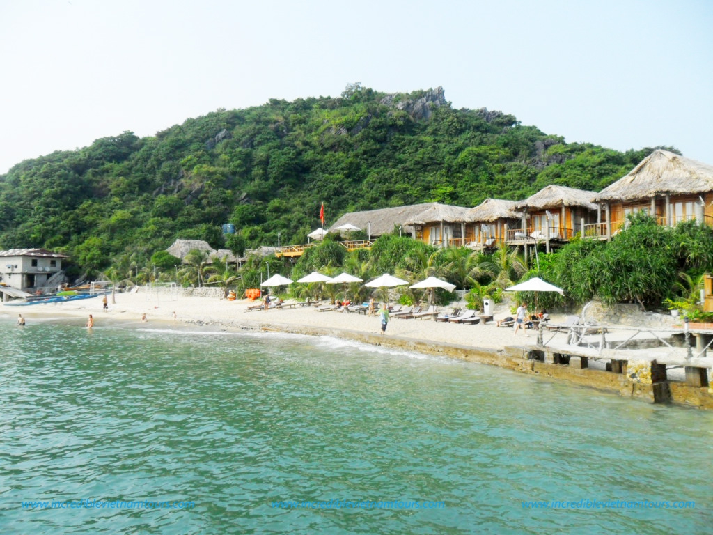Monkey Island An Interesting Place to Visit in Cat Ba Incredible Vietnam Tours Vietnam Travel